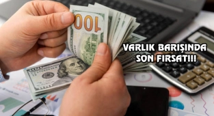 Döviz Hesaplarını İlgilendiren 'Varlık Barışı' Uzatıldı