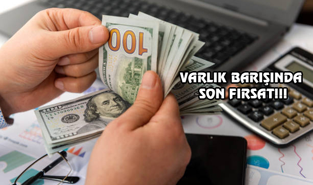 Döviz Hesaplarını İlgilendiren 'Varlık Barışı' Uzatıldı