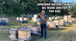 Erkek Arıların Lavralarından Yaşam İksiri