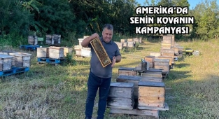 Florida'dan Sizin Kovan Projesi
