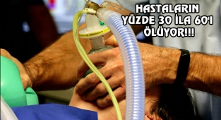 Gizemli Mantar Hastalığı ABD’de Yayılıyor!
