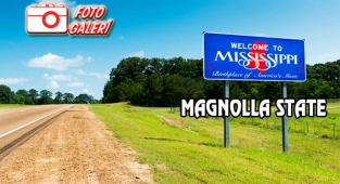 Mississippi Eyaleti: Magnolia State