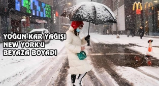 New York ve New Jersey, Kara Büründü