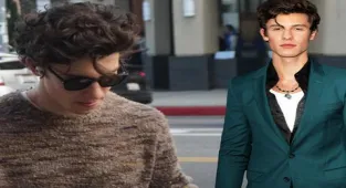 Shawn Mendes zor günler geçiriyor: Dijital bunalımdayım!