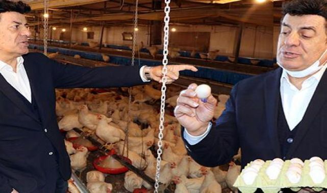 Tavuk çiftliği kuran Coşkun Sabah dolandırıldı!