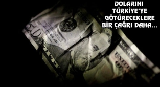 Türkiye'den Doları Olanlara Yeni Çağrı