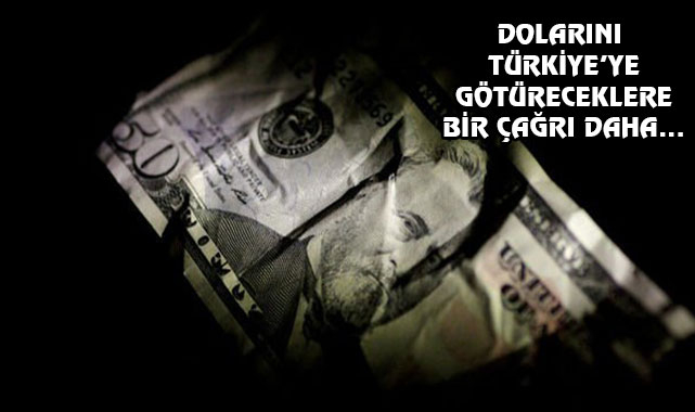 Türkiye'den Doları Olanlara Yeni Çağrı