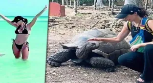 Zeynep Sever Demirel ve çocuklarının maceralı tatili