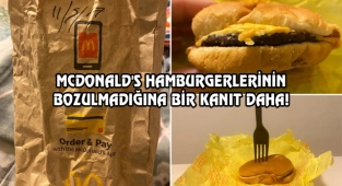 ABD'de 5 Yıl Dolapta Unutulan Hamburger Şaşırttı!