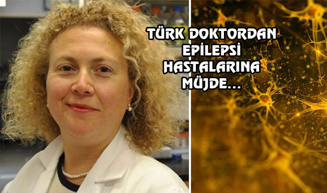 ABD'li Türk Doktor Ölü Beyin Hücrelerini Canlandırdı