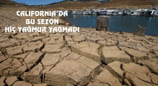 California'da 40 Yılın En Sıcak Ocak Ayı...