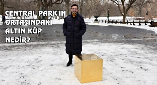 Central Park'ta 11.7 Milyon Dolarlık Altın Küp