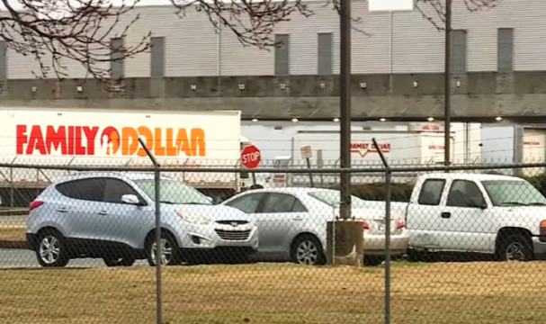 Family Dollar Deposunu Fareler İstila Etti!