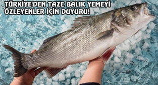 Karadeniz'in Lezzetli Balıkları Artık Amerika'da...