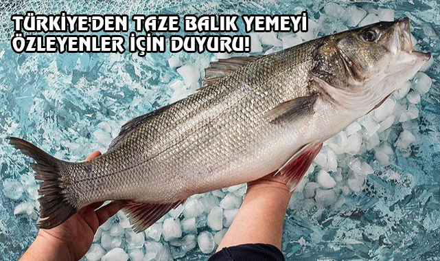 Karadeniz'in Lezzetli Balıkları Artık Amerika'da...