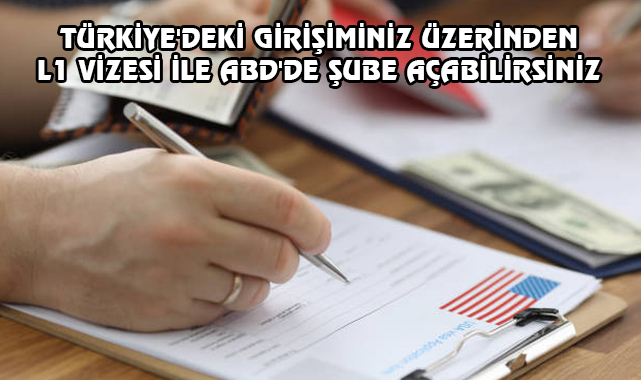 TR'deki Şirketiniz Üzerinden ABD'de Şirket Açmak