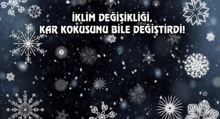 Wisconsin'in Kar Kokusuyla İsveç'teki Bir Değil!
