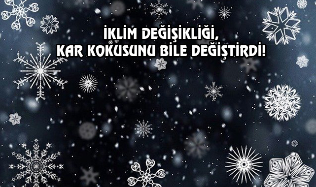 Wisconsin'in Kar Kokusuyla İsveç'teki Bir Değil!