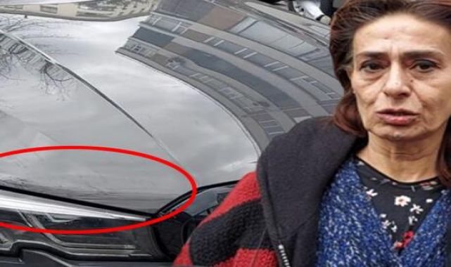 Yıldız Tilbe: Ne yapayım Sevgililer Günü'nü!