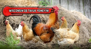 ABD'de Kuş Gribi Alarmı!