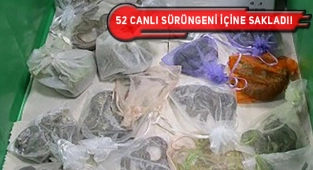 ABD Vatandaşı, Meksika Sınırını Geçerken Tutuklandı