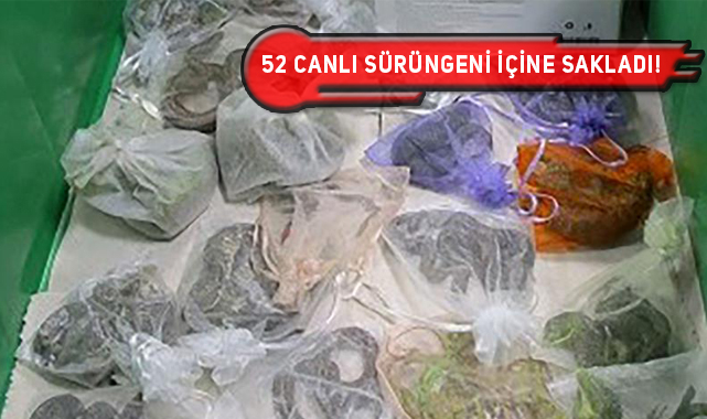 ABD Vatandaşı, Meksika Sınırını Geçerken Tutuklandı