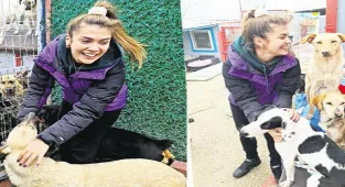 Barınakta duygu seli