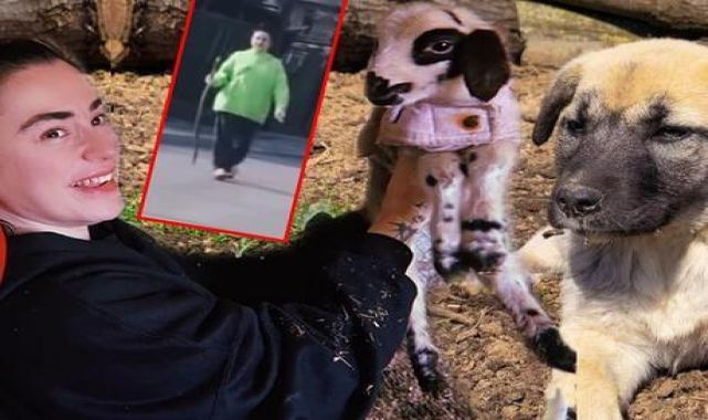 Ceylan Ertem'in köy yaşamı: Bugün böyle geçiyor