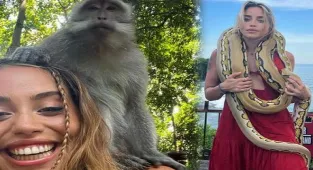 Hamdi Alkan'ın kızı Zeynep Alkan yılanlarla poz verdi