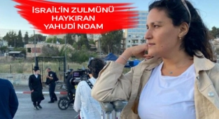 İsrail'de Barış Aktivisti Bir Komedyen: Noam