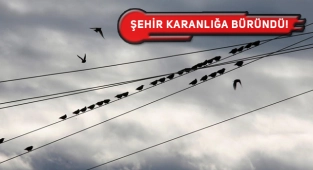 New Orleans'ta Trafoya Kuş Girdi, Sonuç Facia!