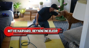 ABD'de 37 Dil Konuşan Halı Yıkamacı Şaşırttı