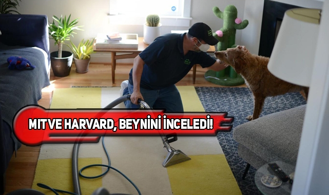ABD'de 37 Dil Konuşan Halı Yıkamacı Şaşırttı