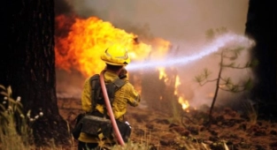 Arizona Yangınında 700 Ev Tahliye Edildi