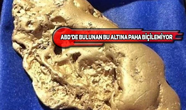ABD'de Bir Evin Bahçesinde Altın Külçesi Bulundu