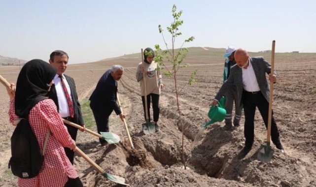 Kayseri Kocasinan 'Vuslat Ormanı' ile nefes alacak