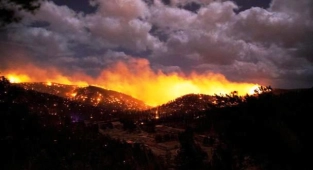 New Mexico'da 13 Bin Dönüm Arazi Yangında Zarar Gördü