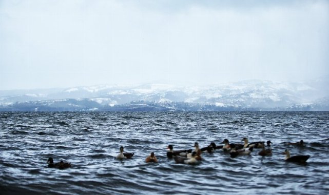 Sapanca Gölü standartların üzerinde