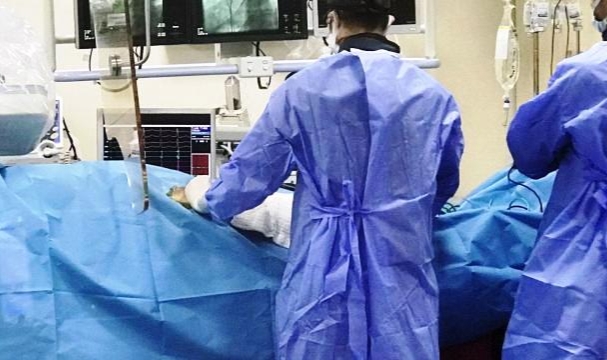 Tıp Tarihinde İlk: Hastaya İneğin Kalp Kapakçıkları Nakledildi