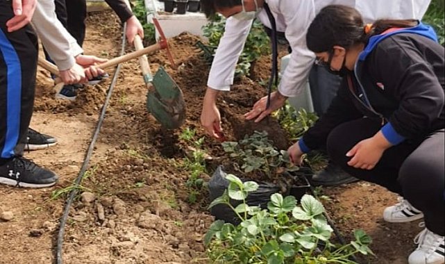Ata Tohumları Bahçeşehir Koleji'nde yapay zeka ile yetiştirilecek