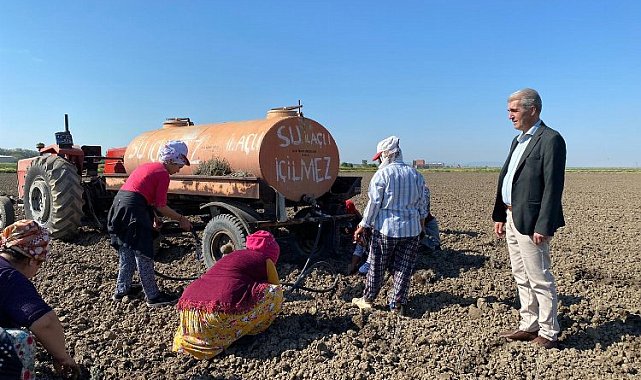 Edirne İpsala'da çiçek üreticiliği başlıyor