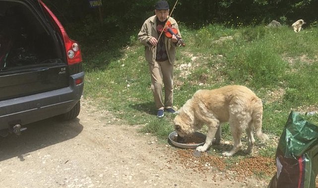 Kırklareli Vizeli kemancı Turunç, sahipsiz canlara keman çalıyor