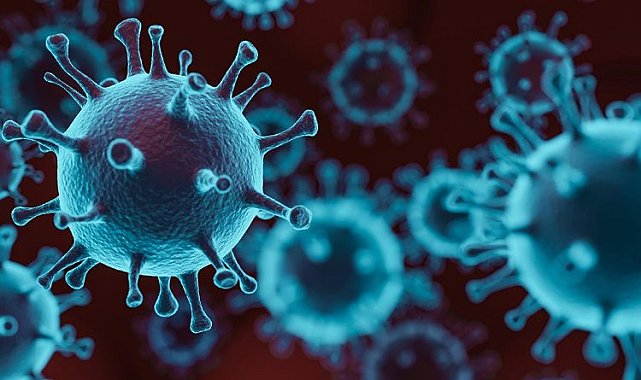 Maymun Çiçeği küçük çocukları daha fazla etkiliyor