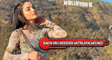 ABD'de Çökertilen Çeteden Bir De Türk Çıktı!