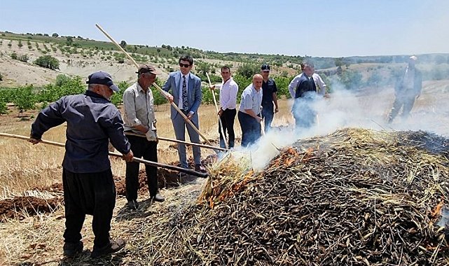 Adıyaman Belören'de firik hasadı başladı
