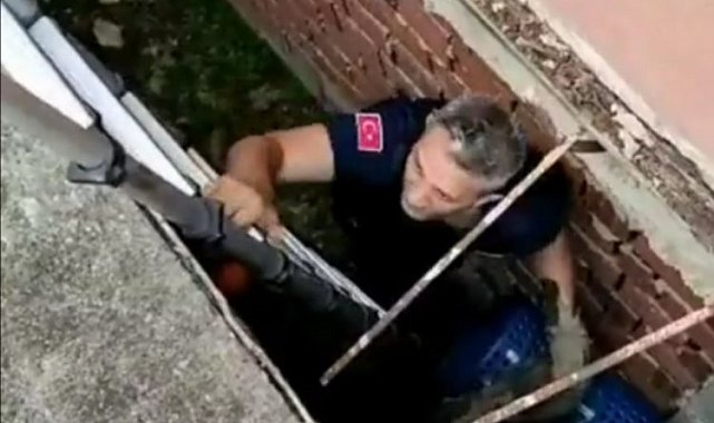 Bursa Mudanya'da itfaiye ekipleri mahsur kalan kediyi kurtardı