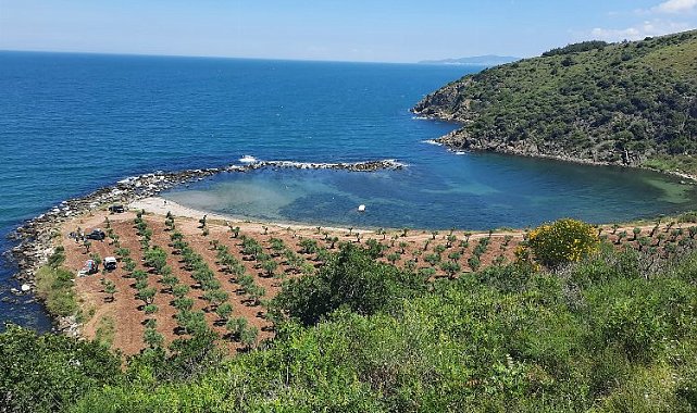 Bursa Mudanya'da 'Rota Myrleia' için ilk keşif yapıldı