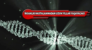 Harvard'tan Yaşlanmayı Tersine Çeviren Formül!