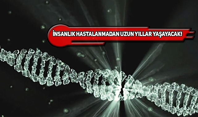 Harvard'tan Yaşlanmayı Tersine Çeviren Formül!