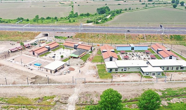 Marmara'nın yuvası patili dostlar için gün sayıyor